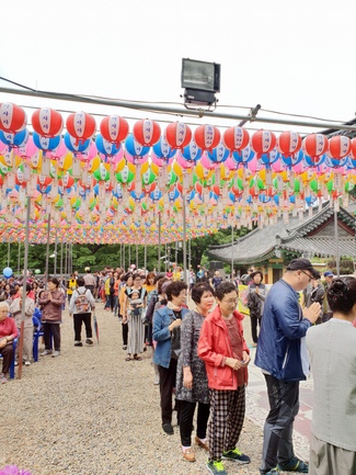 Partake in the Vesak Ceremony at Yonggungsa Cham Joeun Uri Temples